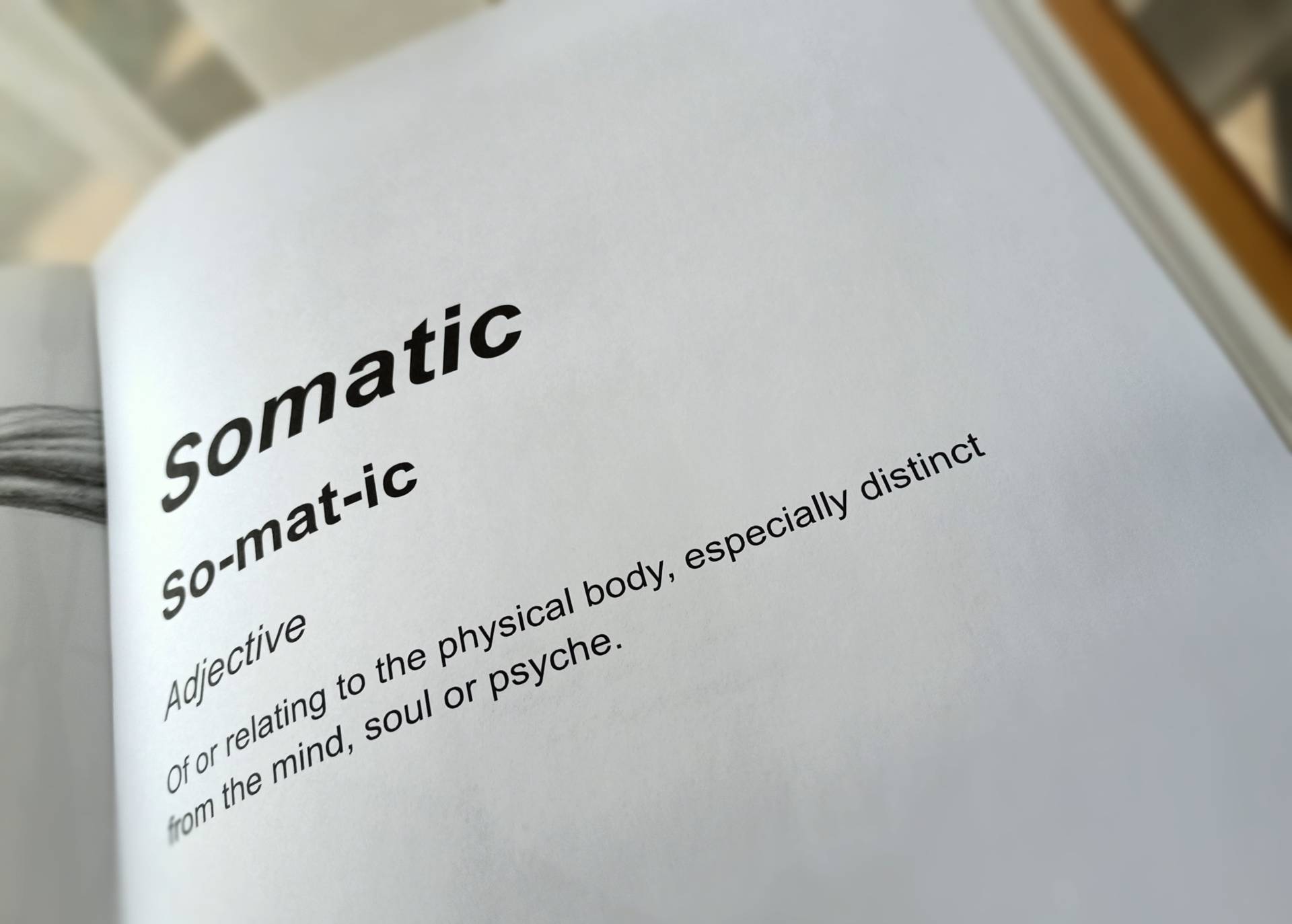 Somatic Description, Lorraine Pentello, Somatic Sex Therapy
